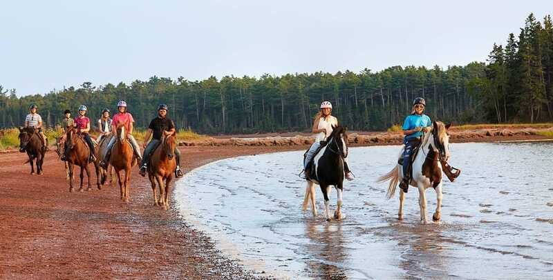 Brudenell: Family-Friendly Horse Ride goes on the Beach - What to wear and what to leave at the barn