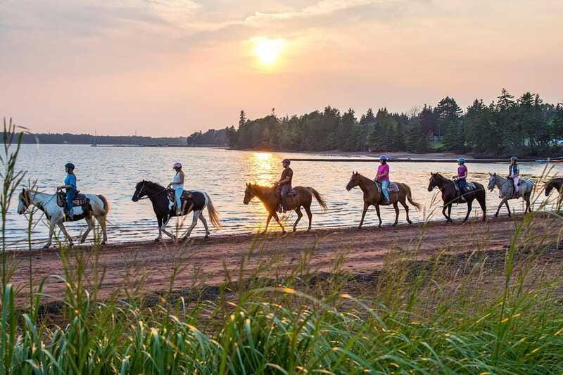Brudenell: Family-Friendly Horse Ride goes on the Beach - Who should book the Brudenell ride