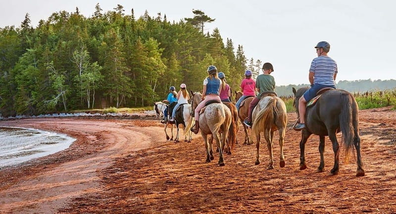 Brudenell: Family-Friendly Horse Ride goes on the Beach - Following the wooded trail toward the river