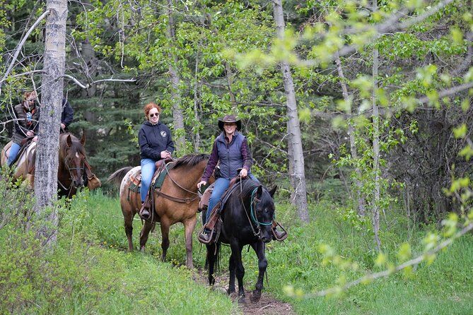 Buffalo Loop 1-Hour Horseback Trail Ride in Kananaskis - A Gentle Start at Boundary Ranch