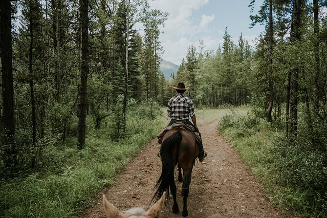 Buffalo Loop 1-Hour Horseback Trail Ride in Kananaskis - How the Ride Fits Into a Calgary Visit