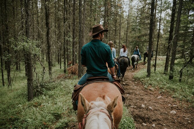 Buffalo Loop 1-Hour Horseback Trail Ride in Kananaskis - A Strong Choice for Nervous Beginners