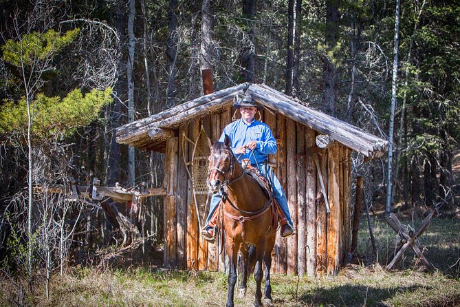 Buffalo Loop 1-Hour Horseback Trail Ride in Kananaskis - Calm Horses and Patient Instruction