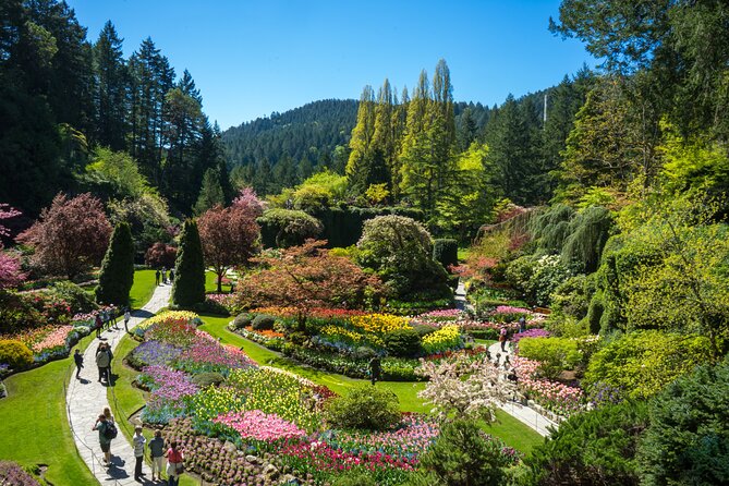 Butchart Gardens and Victoria Sightseeing Tour from Vancouver - Victoria’s harbor sights and city orientation