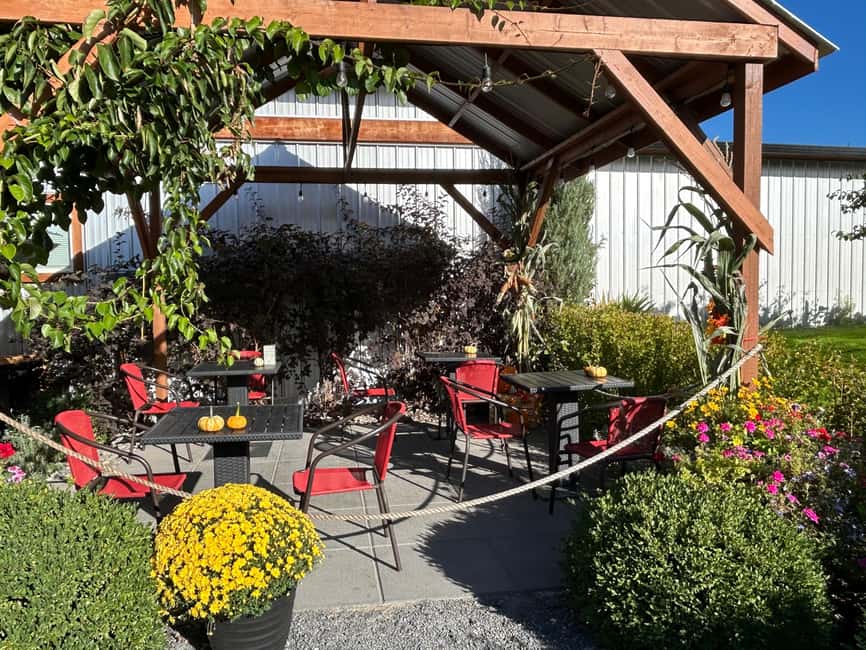 Buzz + Bites! Lunch for Two in East Kelowna - Choosing Lunch on the Bistro Patio