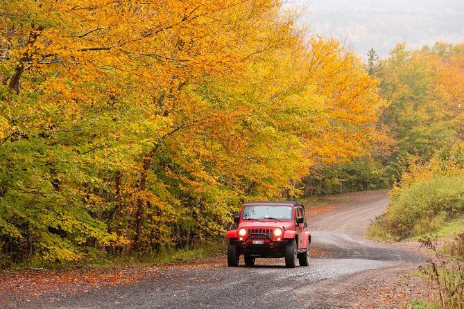 Cabot Trail Jeep Adventure - Cruise Excursion - Six hours of changing Cabot Trail scenery