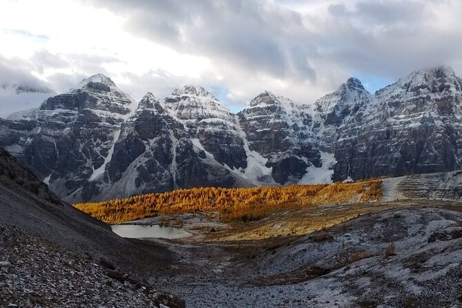 Calgary Airport Shuttle to Banff & Lake Louise - The drivers can make an ordinary transfer more useful