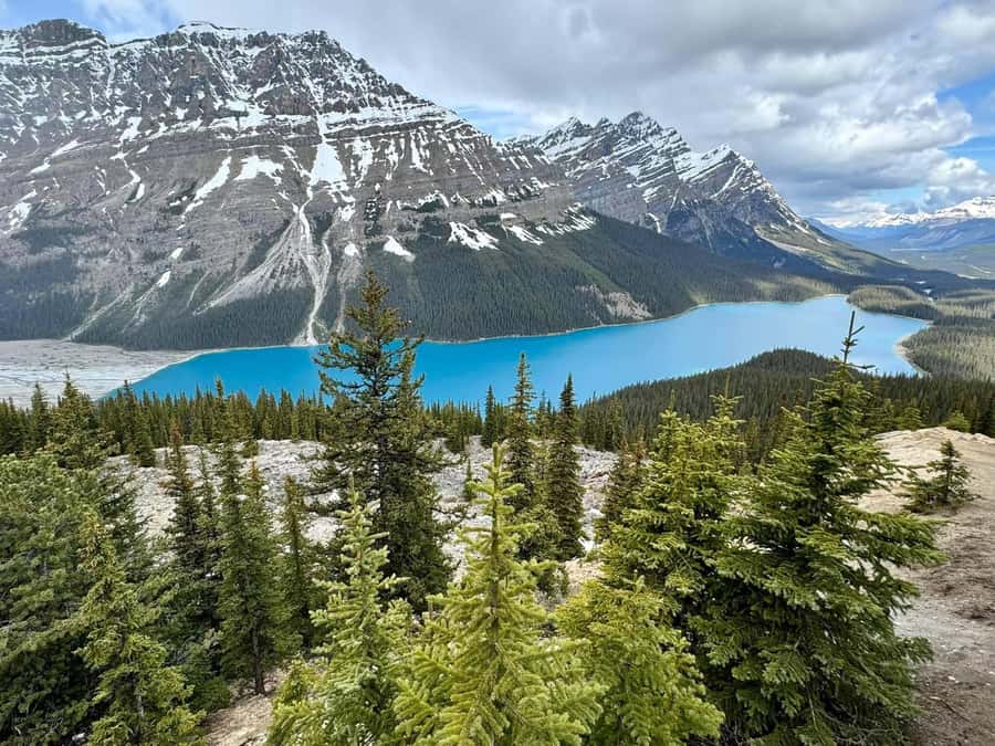 Calgary Banff: Columbia Icefield, Skywalk and Lakes Day Tour - Why this $49 tour can be good value