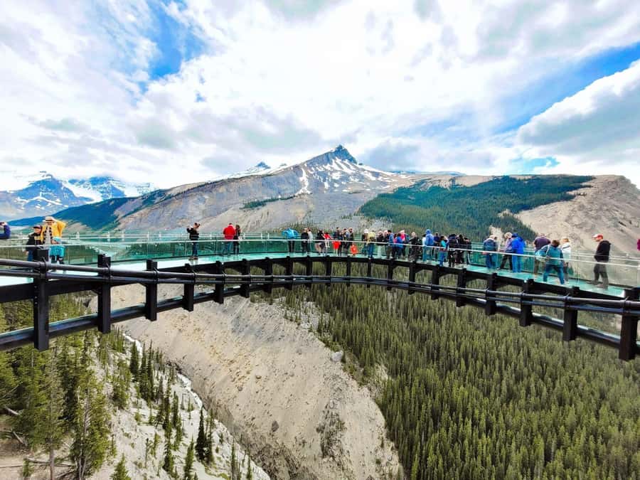 Calgary Banff: Columbia Icefield, Skywalk and Lakes Day Tour - Crowfoot Glacier, Bow Lake, and Waterfowl Lake