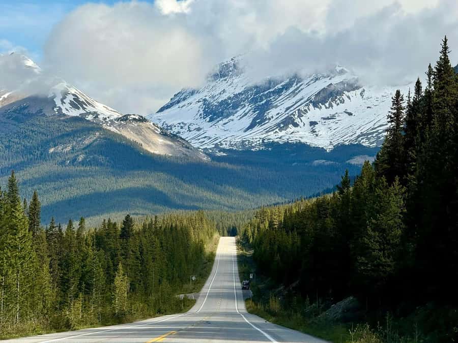 Calgary Banff: Columbia Icefield, Skywalk and Lakes Day Tour - Johnston Canyon gives the return drive a final stop