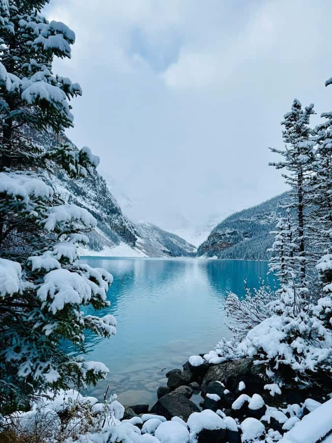 Calgary, Banff: Lake louise , Moraine ,Emerald Lake day Tour - Lake Louise: The Classic Rocky Mountain View
