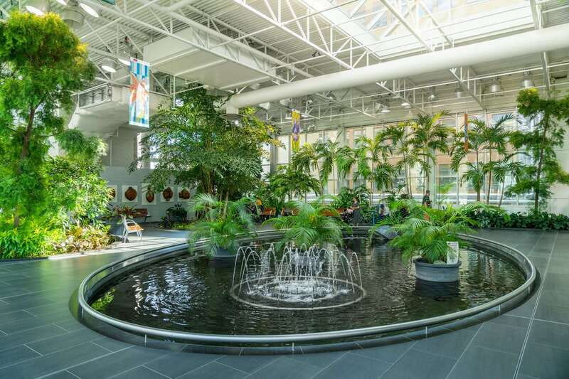 Calgary: City Highlights Walking Tour | 3-Hour - Why this three-hour Calgary walk is useful