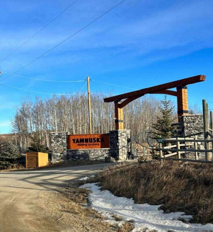 Calgary City Tour & Yamnuska Wolfdog Sanctuary Private Tour - What the private format is worth