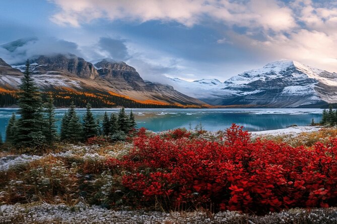 Calgary: Columbia Icefield Adventure, Skywalk and Peyto Lake Tour - The Skywalk looks down into Sunwapta Valley