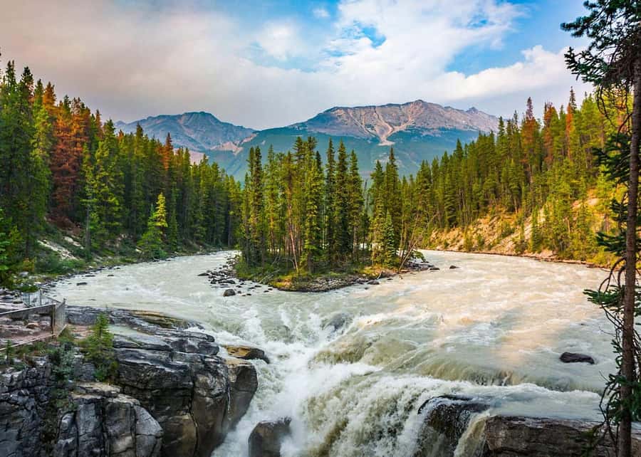 Calgary: Day Trip to Jasper with Lunch - Athabasca Glacier gives the trip its icy centerpiece