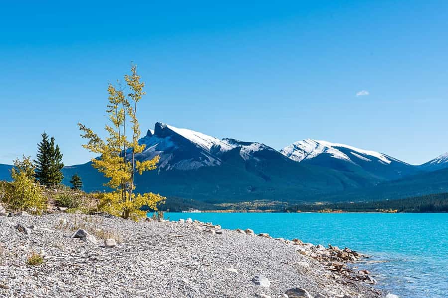 Calgary: Day Trip to Jasper with Lunch - The 14-hour question