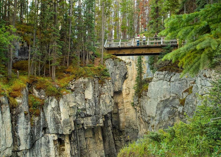 Calgary: Day Trip to Jasper with Lunch - Who should book this day trip