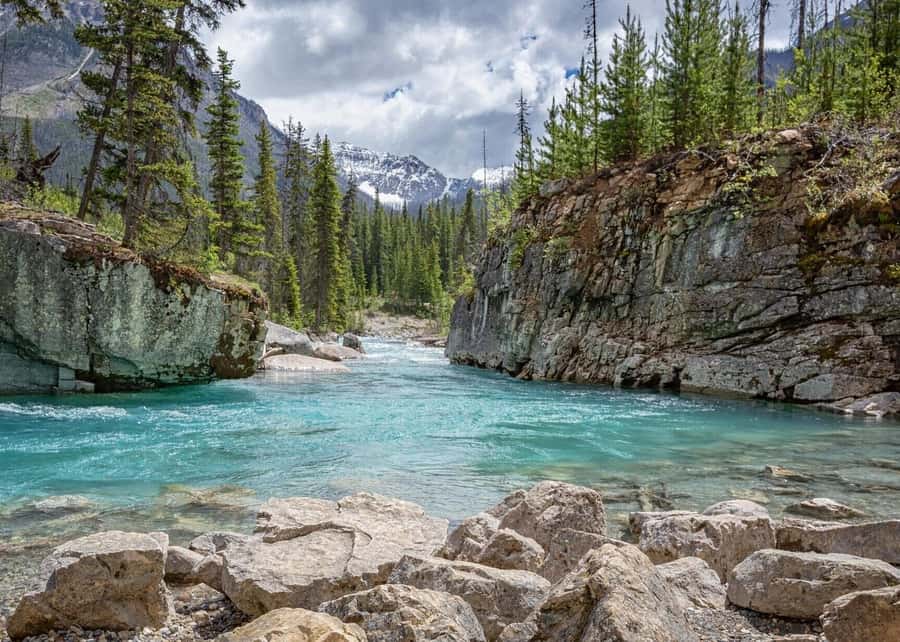 Calgary: Radium Hot Springs & Marble Canyon Day Trip - Numa Falls: A Short Stop With a Big View