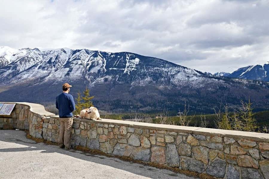 Calgary: Radium Hot Springs & Marble Canyon Day Trip - A Hot Drink at Kootenay Valley Viewpoint