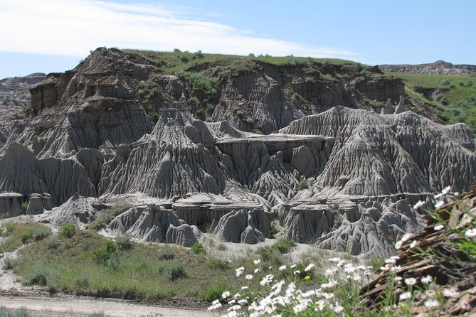 Calgary to Royal Museum | Drumheller – PRIVATE TOUR - Why this Calgary to Drumheller trip is worth considering