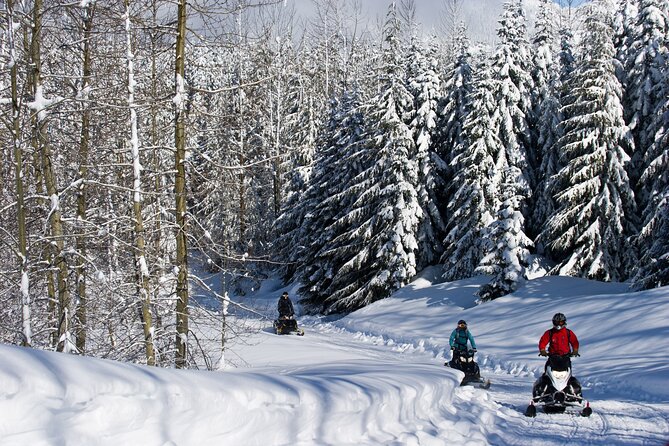Callaghan Cruiser Snowmobile Tour - Family Rules and Physical Considerations
