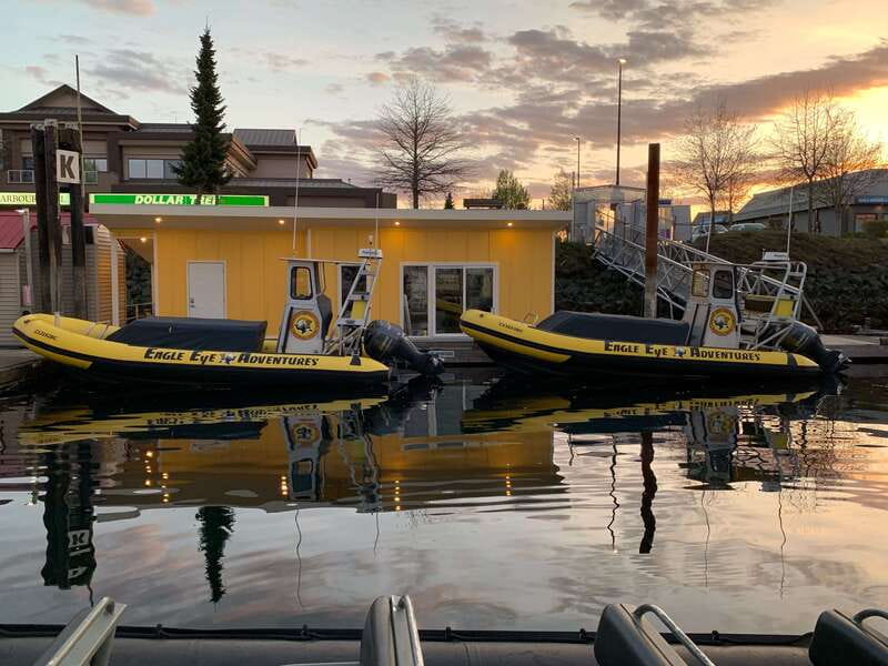 Campbell River: 4 Hour Whale & Wildlife Zodiac Boat Tour - Who will enjoy this Zodiac ride