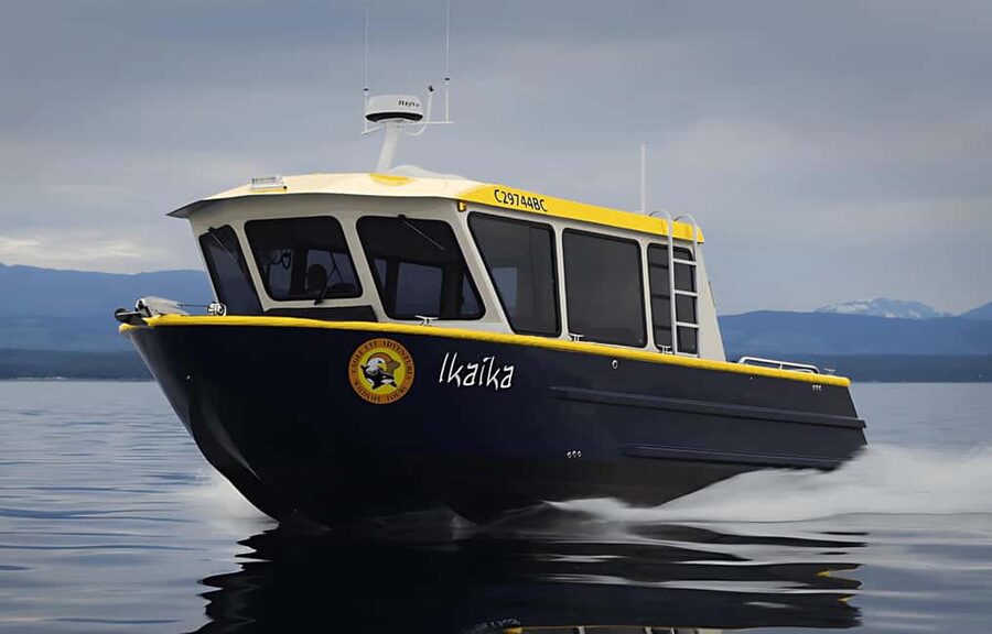 Campbell River: 6 Hour Covered Whale Watching Tour w/ Lunch - Listening Through the Hydrophone