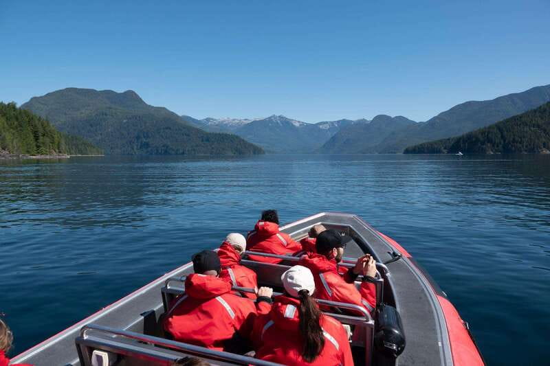 Campbell River: 6-Hour Whale Watching Boat Tour - Watching wildlife in Discovery Passage and Johnstone Strait