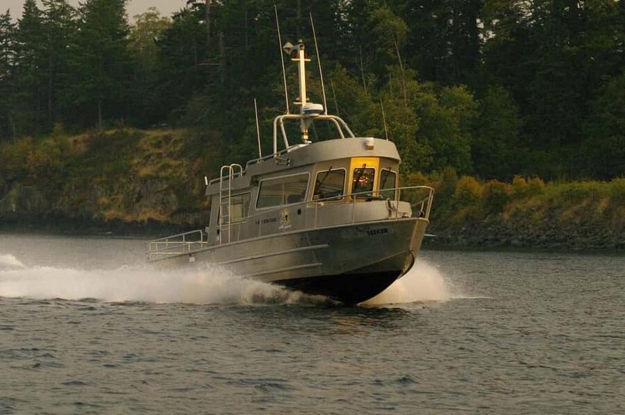 Campbell River: 7-Hour Big Animal Encounter Boat Tour - Key points to know before booking