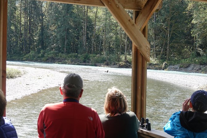 Campbell River: Bute Inlet Grizzly-Watching Tour & Boat Ride - Why the Orford River makes this more than a boat ride