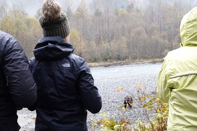 Campbell River: Bute Inlet Grizzly-Watching Tour & Boat Ride - The wildlife bonus on the return trip