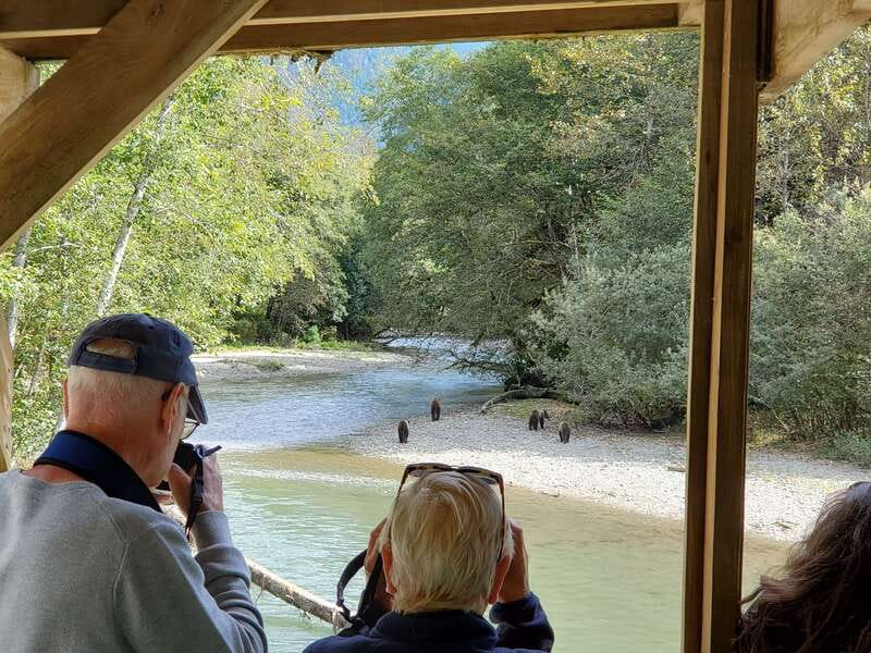 Campbell River: Grizzly Bear-Watching Tour with Lunch - Key points at a glance