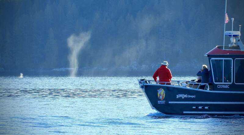 Campbell River: Grizzly Bear-Watching Tour with Lunch - Entering Homalco territory by boat
