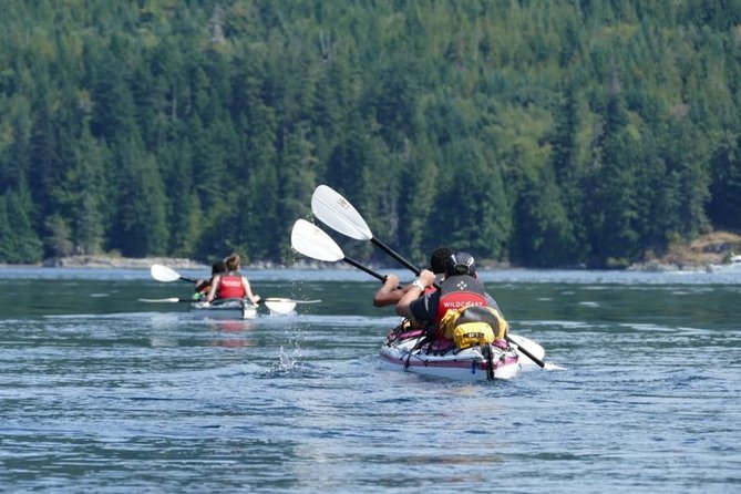 Campbell River: Kayaking and Whale Watching Tour - Key points to know before booking