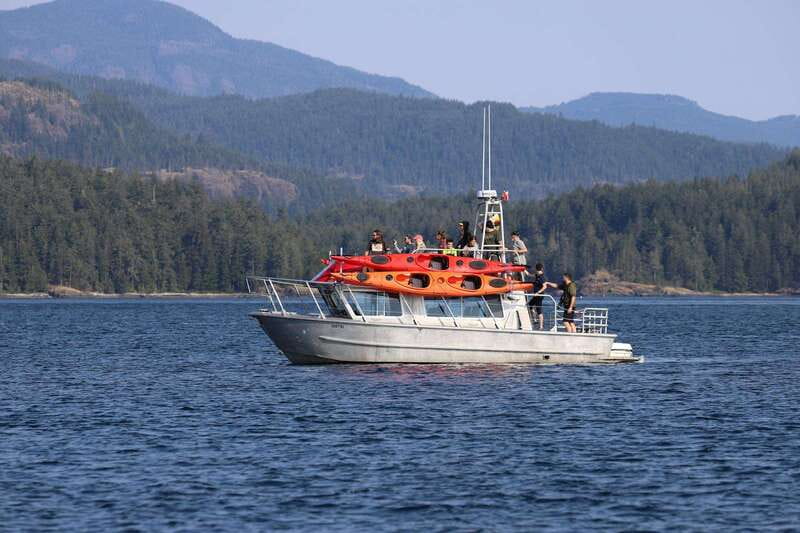 Campbell River: Kayaking and Whale Watching Tour - The boat ride aboard Wild 1