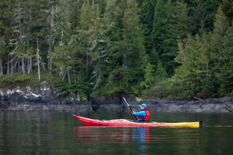Campbell River: Kayaking and Whale Watching Tour - Wildlife: what you may see