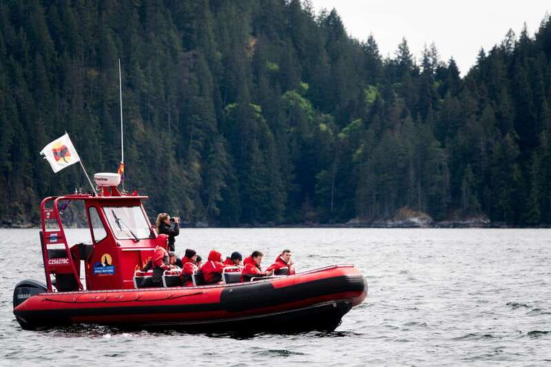 Campbell River: Whale Watching and Wildlife Viewing Day Tour - Is $291 a fair price for a full day?