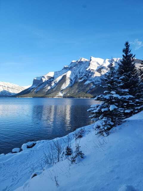 Canmore/Banff: Explore Banff & Wildlife - Is $69 a fair price?