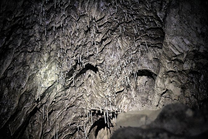 Canmore Caving Explorer Tour - Planning your day around the tour