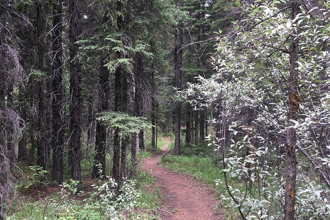 Canmore Cowboys and Coal Miners History Tour - 2H Walk - Private format and group size