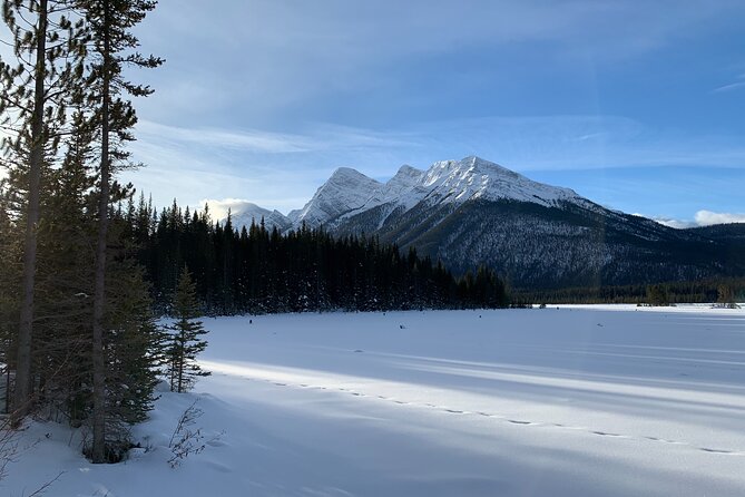 Canmore: Lost Towns and Untold Stories Hiking Tour - 3hrs - Guides who make the details matter