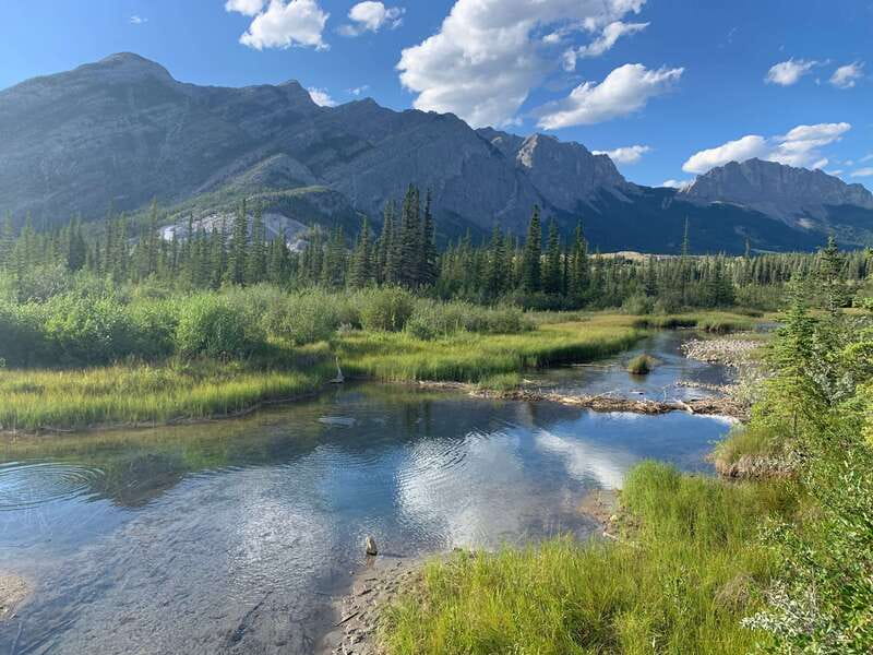 Canmore: PRIVATE SAFARI Drive to BANFF Park & Nature Walk - Key points to know before booking