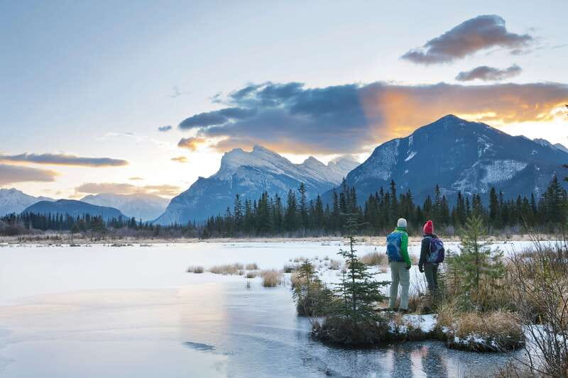 Canmore: PRIVATE SAFARI Drive to BANFF Park & Nature Walk - What the wildlife experience can realistically deliver