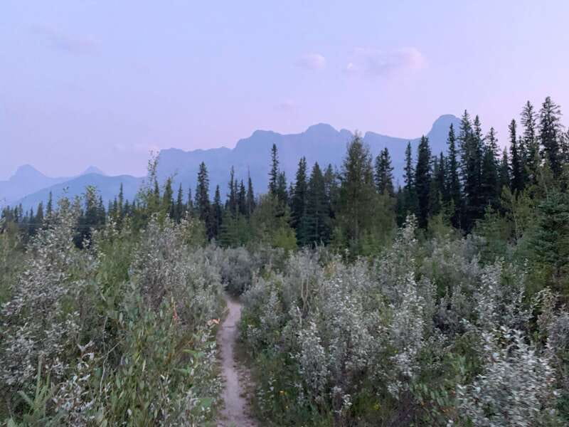 Canmore: PRIVATE SAFARI Drive to BANFF Park & Nature Walk - Timing, clothing, and practical planning