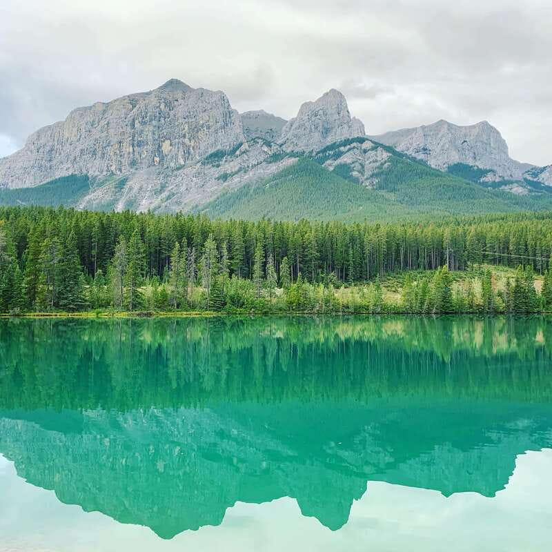 Canmore: PRIVATE SAFARI Drive to BANFF Park & Nature Walk - The drive is a major part of the experience