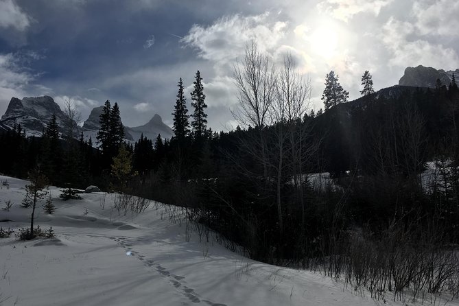Canmore: Stargazing and Nature by Nightfall Walking Tour - 2hr - Wildlife and local stories after dark