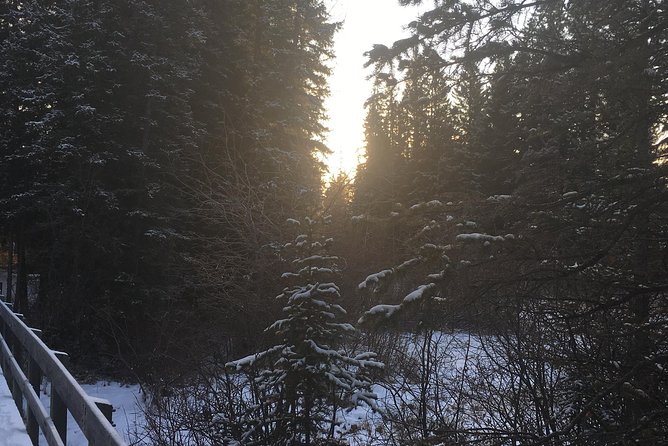 Canmore: Stargazing and Nature by Nightfall Walking Tour - 2hr - Cancellation and weather planning