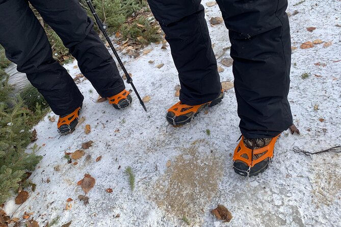 Canmore: Wilderness & Wildlife Tour - 2hr Walk - Why the 12-person limit matters