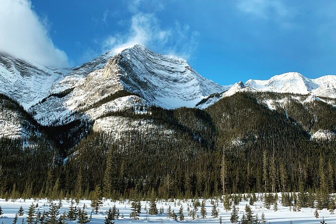 Canmore: Wilderness & Wildlife Tour - 2hr Walk - Starting at Canmore Recreation Centre
