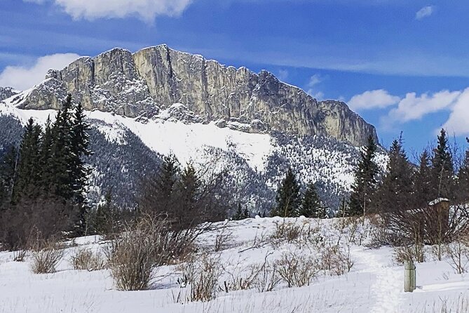 Canmore: Wilderness & Wildlife Tour - 2hr Walk - Weather, seasons, and realistic expectations